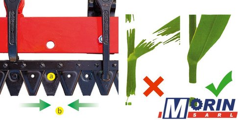 Faucheuse Fpm Agromehanika Doo LK 225/2H - 10