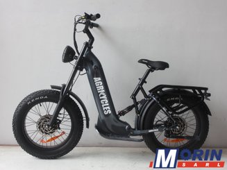 Vélo électrique Agricycles CRT20 - 4