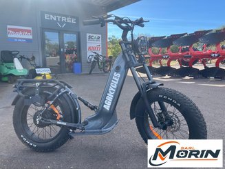 Vélo électrique Agricycles CRT20 - 1