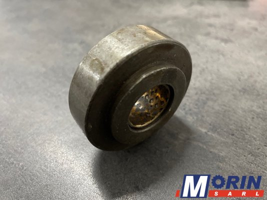 Pièces Agricole et Motoculture - Pièces Tracteur - GALET IH (794973R21)