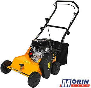 Herbes et entretien - Scarificateur - Scarificateur Tigara TG S3816F R