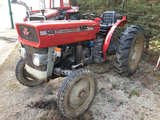 Tracteur vigneron Tracteur vigneron Massey Ferguson 145V - 1