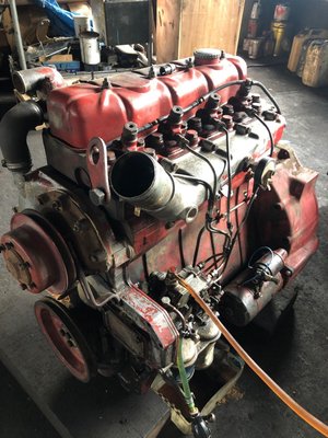 Moteur Moteur IH D239 - 1