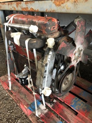 Moteur IH D206 - 1